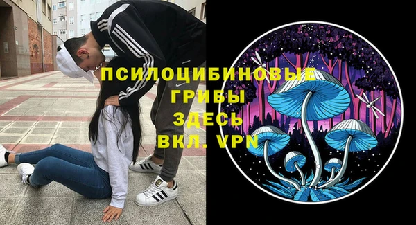 PSILOCYBIN Тутаев