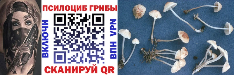 Галлюциногенные грибы GOLDEN TEACHER  продажа наркотиков  Бугульма 